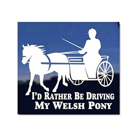 I'd Rather Be Driving My Welsh Pony ~ Horse Trailer Vinyl Window Decal Sticker