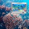 Tokenkuko Fake Fish Tank Mini Aquarium,Artificial Tropical Fish Decorative,Fake Aquarium