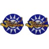 WWII FLYING TIGERS EMBROIDERED PATCH | 2PC IRON ON OR