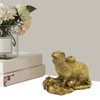 Bunny Statue Sturdy Brass Retro Look Fine Details Stable Durable