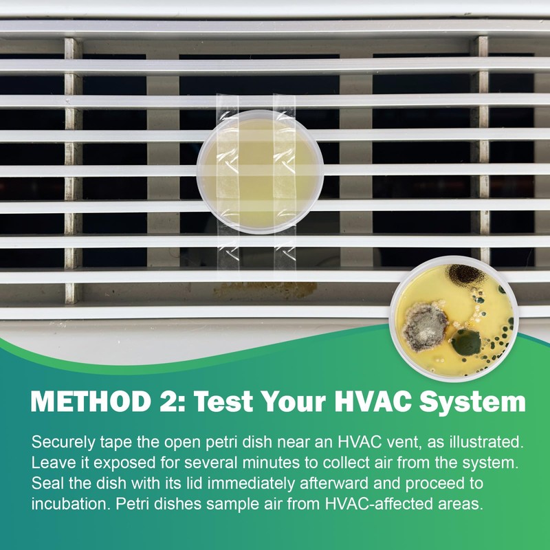 Carethetic Mold Test Kit for Home – 6 DIY Air,