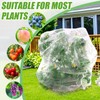 Fruit Tree Netting 6 * 7ft 2 Pack,Garden Netting for