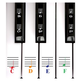 QMG Color Piano and Keyboard Music Note Full Set Stickers for White and Black Keys; Made in USA
