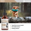 Turkey Tail Mushroom for Dogs | Helps to Boost the