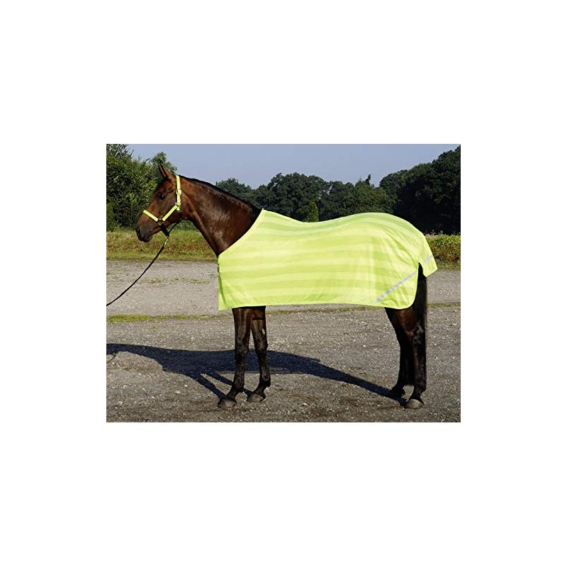 Busse Everline Reflection Blanket