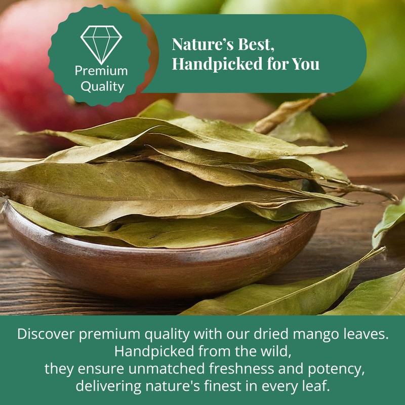 13oz Dried Mango Leaves, Hojas De Mango Secas, 100% Natural