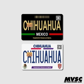 Card Stickers - Mexico Placas (Mexican License Plate) - For Debit, Credit and other cards:_COAHUILA