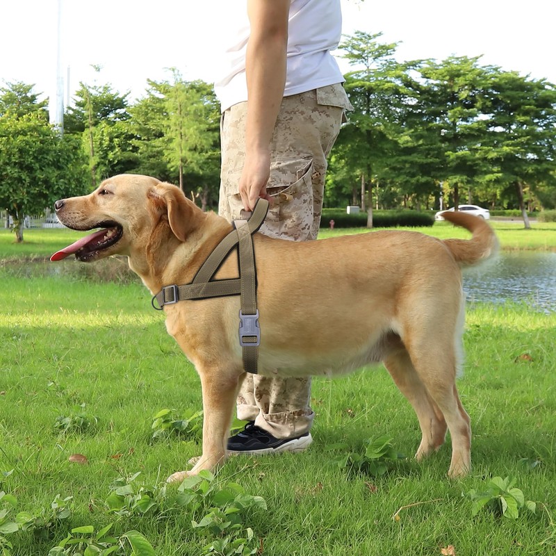 S-ETOVUS No Pull Dog Harness, Reflective Puppy Harness with Soft