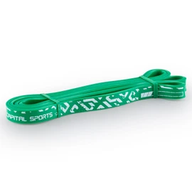 CAPITAL SPORTS Resistor Klimmzugband Fitnessband Widerstandsband Resistance Band Klimmzughilfe Bodyweight Training Dehnen und Stretchen 9-79kg Widerstand je nach gewähltem Stärkegrad 2-9