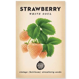 The Little Veggie Patch Co Strawberry Heirloom Seeds, 1 pack