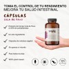 Hongo Cola de Pavo Cpsulas Veganas Sin Sabor UNRULED FOODS