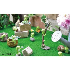 roiyarua-den (Pacific GLD) Frog 1 