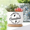 DecStic Promoted to Grandma Planter Ceramic Lettering Saying Round Flower