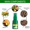 30ml 4PCS Ginger Hair Growth Spray Nutritious Moisturizing Hair Root
