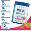 Applied Nutrition Marine Collagen Powder - Hydrolysed Collagen Protein, Healthy