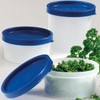 Westmark herbal jar set, 4 pieces, volume 100 ml each,