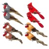 Banberry Designs Feathered Song Bird Clip-On Ornaments - Assorted Styles