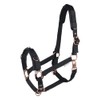 WALDHAUSEN Lunging Halter Rosé, VB, Black