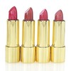 Ready To Wear 4 Piece Lipstick Collectors Set