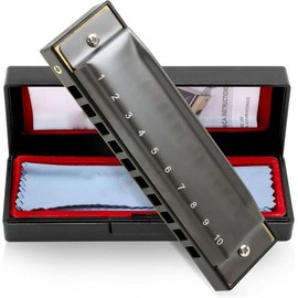 ProBytes Diatonic Harmonica in C Key-Scale - 10 Holes Symphony Mouth Organ, Steel-ABS, Gift-Carry Case, Artists, Professionals, Beginners, Adults, Stage Performer, Juniors, Musical Instrument – Silver