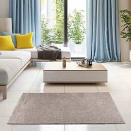 Ambiant Broadway Collection Pet Friendly Area Rugs Beige - 5' x 8' Rectangle, Indoor, Stain Resistant, Perfect for Living Room, Bedroom, Dining Room, Entryway, Pet & Kids Friendly Rug, Wedding