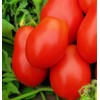 250 Roma VF Tomato Seeds for Planting Non GMO Heirloom