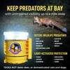 Foxlights Night Predator Deterrent Control Light with Flashing LEDs |
