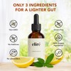 Organic Lemon Balm Drops (10:1) – Alcohol-Free Extract with only