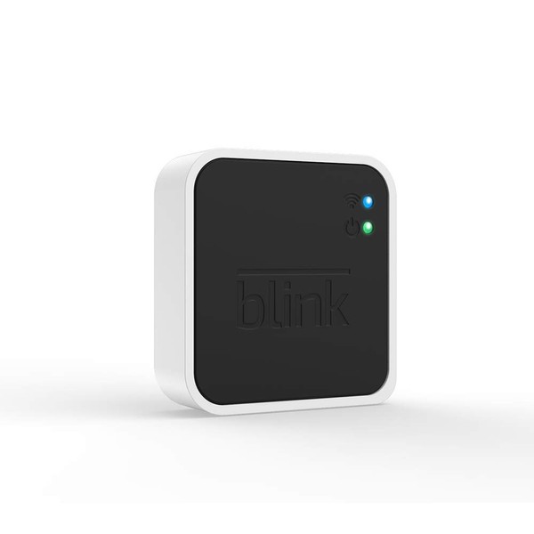 Blink Blink Add-On Sync Module 2