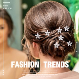 VEOIRXU Pack of 20 Wedding Hair Pins, Bridal Wedding Hair Pins, U-Shaped Bridal Jewellery Hair Pins, Hair Accessories, Wedding Flowers, Rhinestone Hair Accessories, Communion for Women and Girls