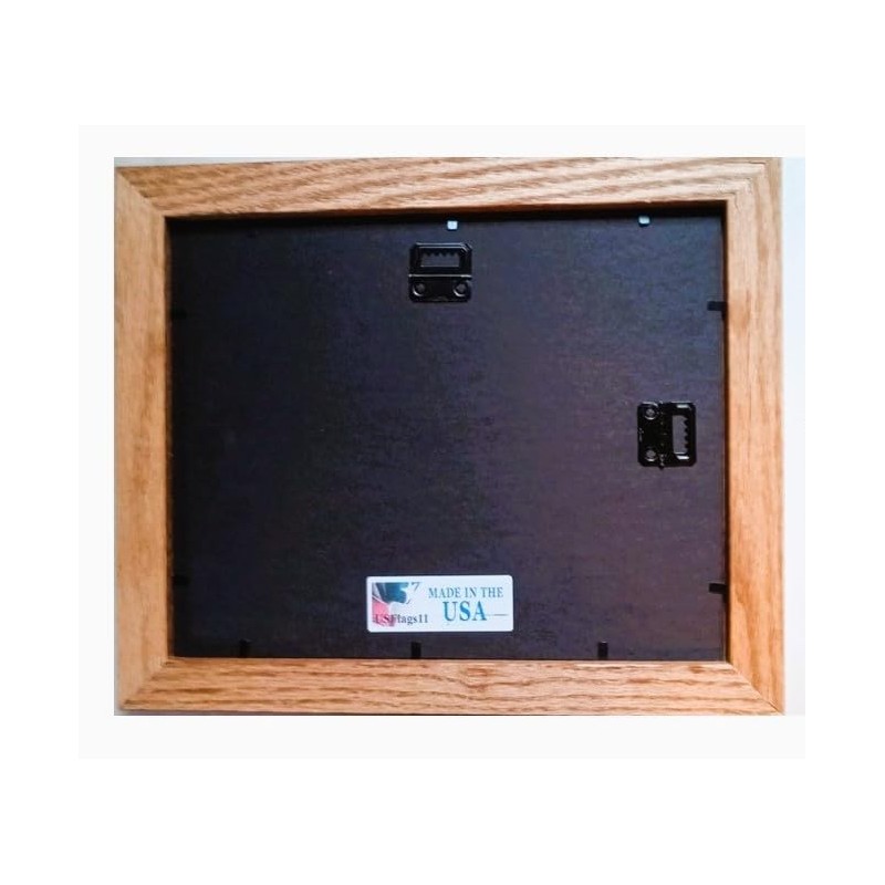 Framed American Revolutionary War Rattlesnake Flag...Gadsden Flag. Patriotic Wall Decor