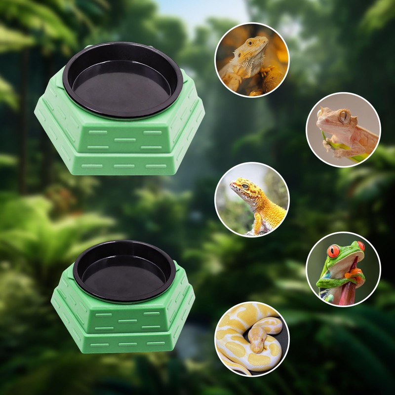 Bearded Dragon Tank Accessories, Reptile Maze Food Bowl and Water