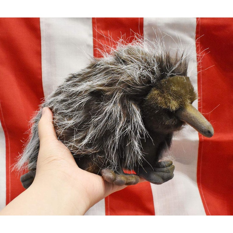 Echidna 11 inches 28cm