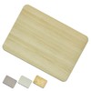 Green Iris [Soft Diatomaceous Earth Mat] Bath Mat with Diatomaceous