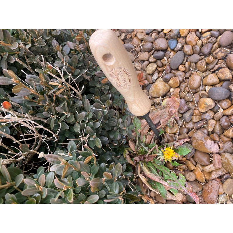 Tierra Garden Dewit Dandelion Weeder