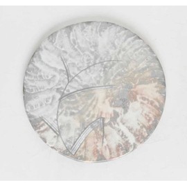 [Muneyama Kiln] Honhonohiki Matt White Tataki Bamboo Carved with Feet Round 7 Plates, 8.3 inches (21 cm), Plate, Middle Plate, Appetizer Plate, Serving Dish