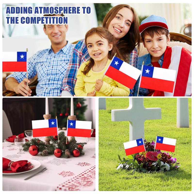 HSQCEZ 12Pcs Small Chile Flags on Wooden Stick Mini Chilean