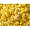 Amish Country Popcorn | 12 Pack Mixed Seasoning Bundle