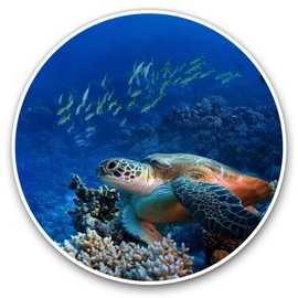 2 x 30cmVinyl Stickers - Sea Turtle Ocean Nature Decals for Car Van Luggage Scrap Book Fridge #2334