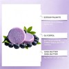 Blueberry Fields Shampoo & Conditioner Bar Set, Solid Hair Wash