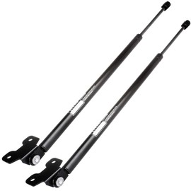 ECCPP Lift Support Hood Replacement Struts Gas Springs Fit For Acura Legend 3.2L 1991-1995 Set of 2