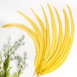 THARAHT 50PCS Rooster Coque Tail Feathers Bulk Natural 12-14Inch 30-35cm for Crafting Wedding Fly Tying Feather Party Performances DIY Decoration Rooster Tail Feather,Yellow