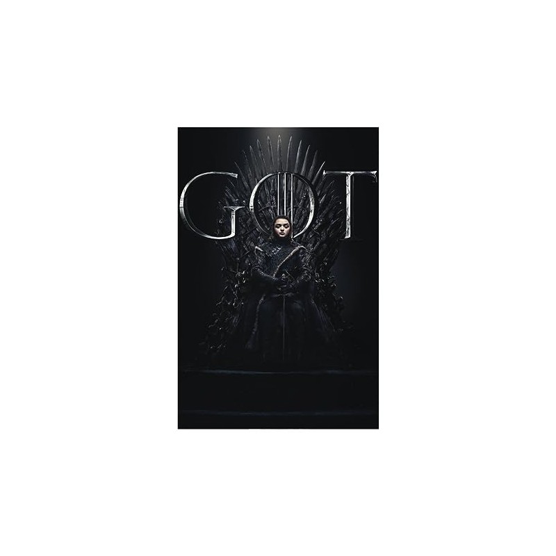 Spreadshirt Game Of Thrones Arya Stark GOT Poster 20 x