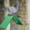 Greensen 10pcs Pigeon Rest Stand, Plastic V-Shaped Pigeon Perch, Green