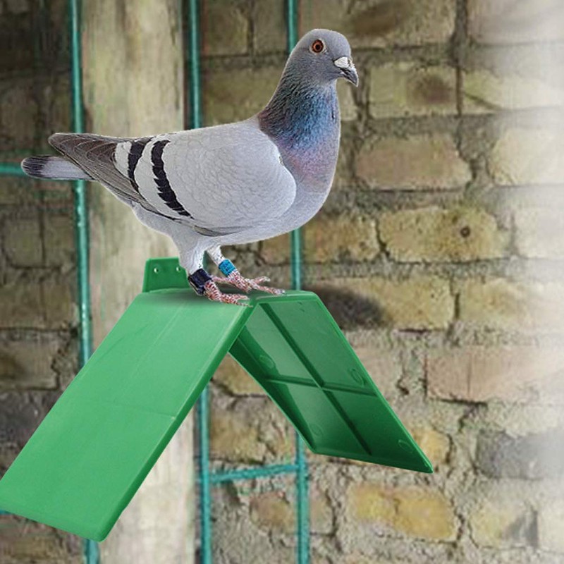 Greensen 10pcs Pigeon Rest Stand, Plastic V-Shaped Pigeon Perch, Green