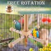 360 Degree Free Rotating Bird Toy, Hanging Toy for Bird