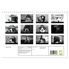 Hütehunde (Wandkalender 2026 DIN A4 quer), CALVENDO Monatskalender