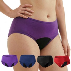 YLHONE Incontinence Underwear for Women Leakproof Panties Bladder Leak Absorbent Underwear Urianry Protection Briefs 4 Colors, Washable & Reusable (Large)