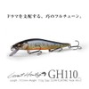 gh110 fa brown trout
