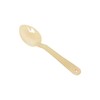 FSE PLSS211BG Serving Spoon, 13", Solid, Dishwasher Safe, Pack of